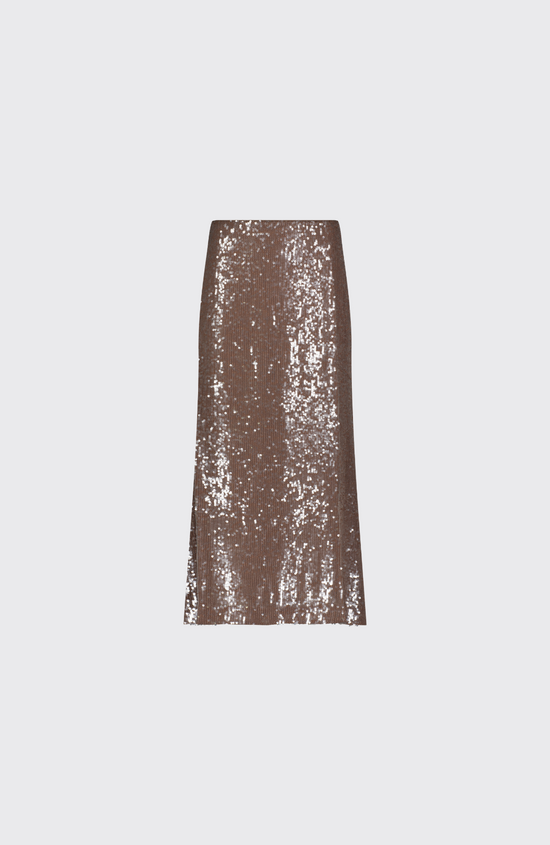 Sequin Skirt