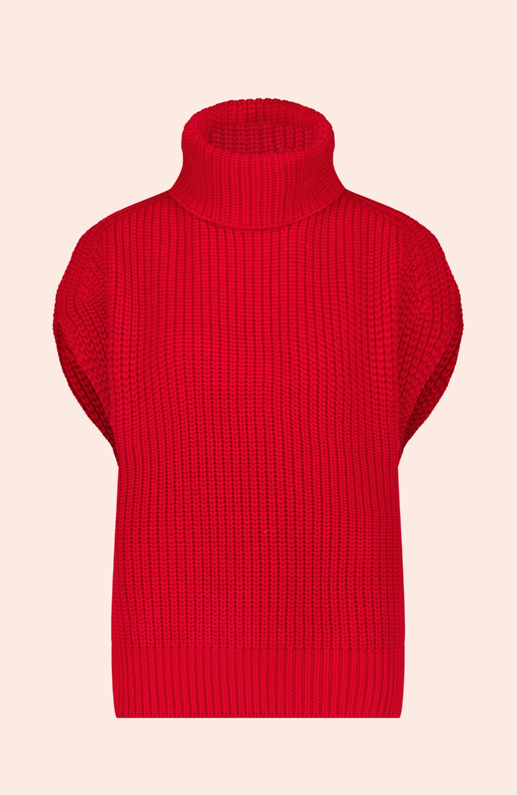Sleeveless Turtleneck Sweater