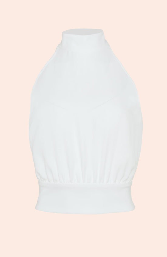 Fluid Crepe Tie Neck Halter Top